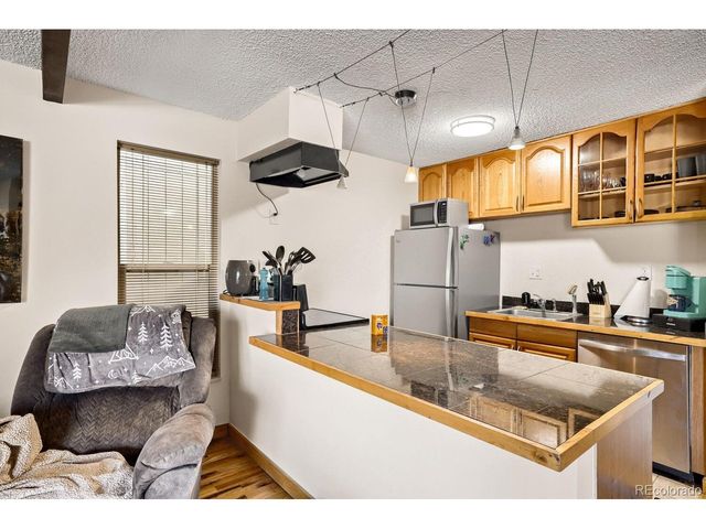 2401 Ryan Gulch Ct 109, Silverthorne, CO 80498