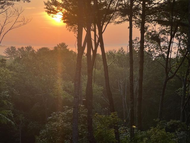 Lot 7 Austin Mountain Road, Mineral Bluff, GA 30559