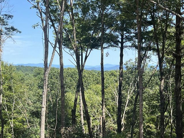Lot 7 Austin Mountain Road, Mineral Bluff, GA 30559