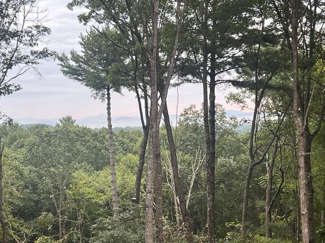 Lot 7 Austin Mountain Road, Mineral Bluff, GA 30559