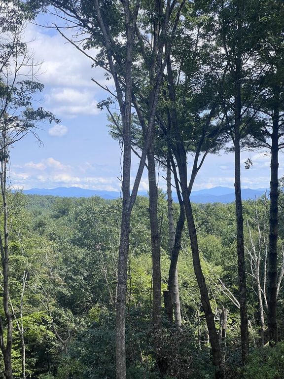 Lot 7 Austin Mountain Road, Mineral Bluff, GA 30559
