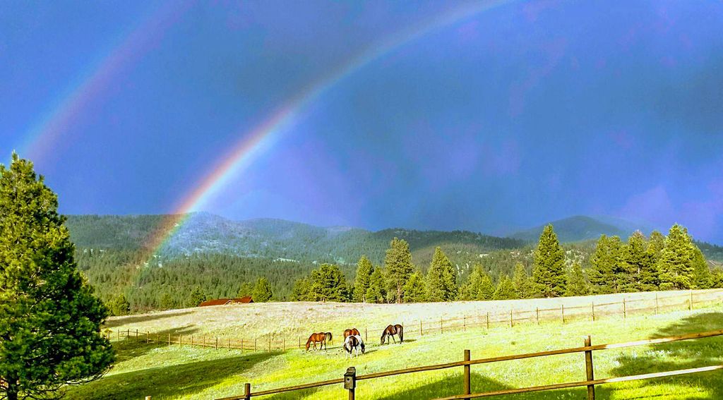 5 Alpine Valley Lane, Clancy, MT 59634 photo 103