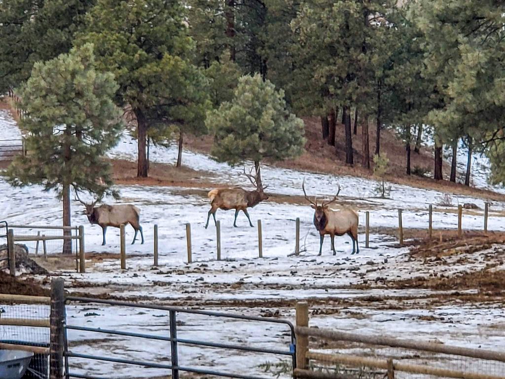 5 Alpine Valley Lane, Clancy, MT 59634 photo 106