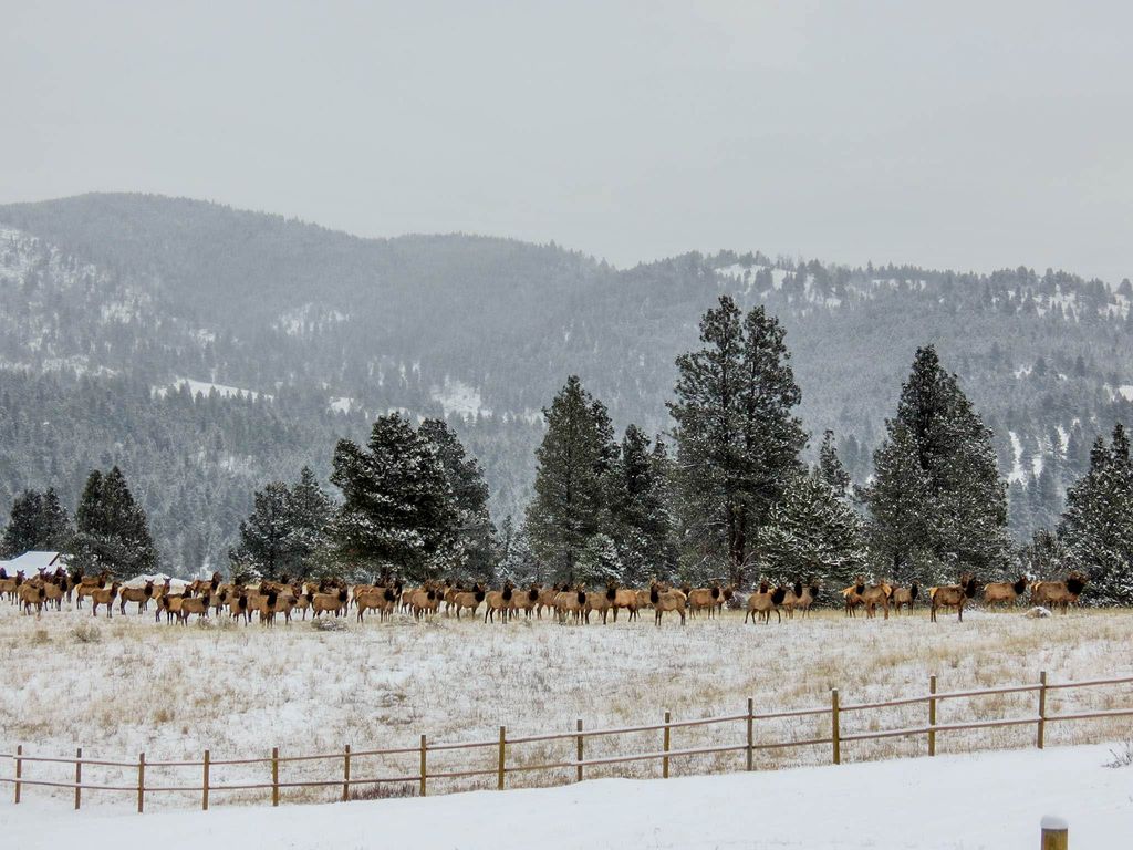5 Alpine Valley Lane, Clancy, MT 59634 photo 107