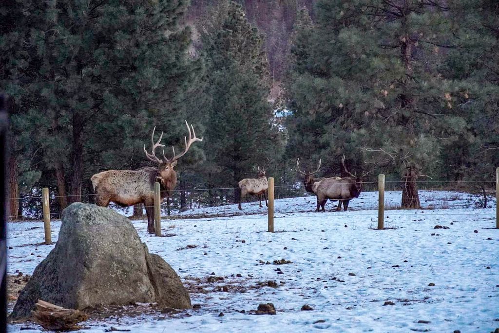 5 Alpine Valley Lane, Clancy, MT 59634 photo 108