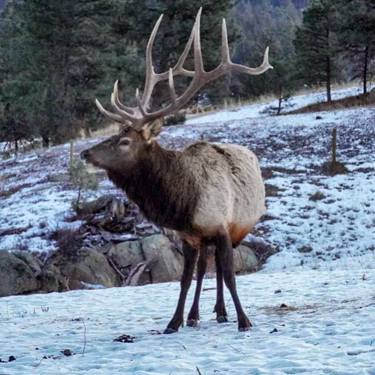 5 Alpine Valley Lane, Clancy, MT 59634 photo 109