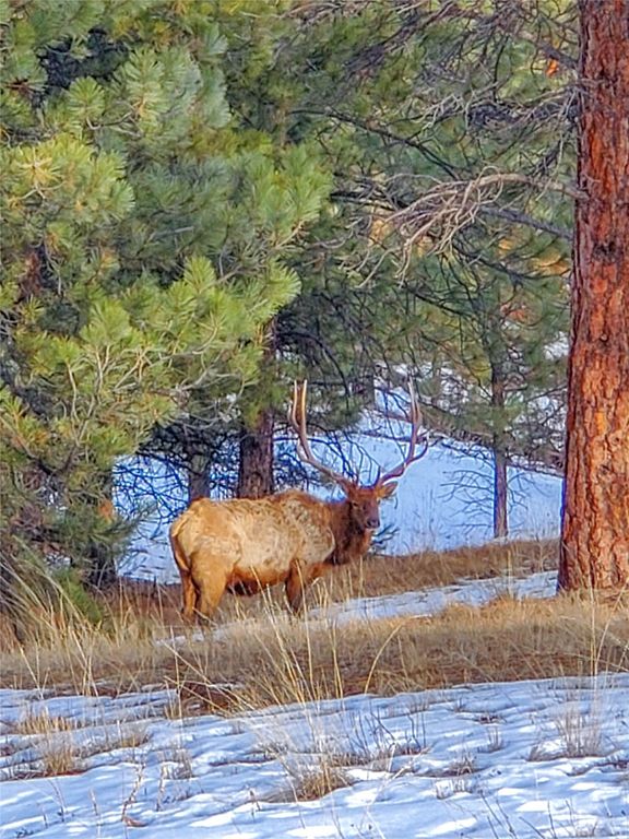 5 Alpine Valley Lane, Clancy, MT 59634 photo 111