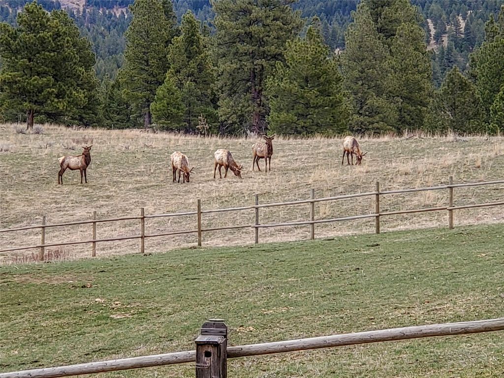 5 Alpine Valley Lane, Clancy, MT 59634 photo 113