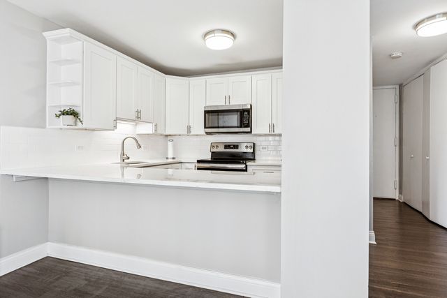 1540 N La Salle Drive 603, Chicago, IL 60610