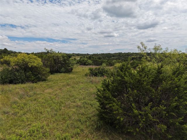 101 Gilmore Court, Lipan, TX 76462