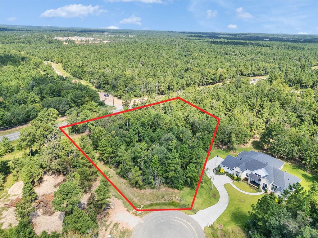 7753 Dog Wood Acres Drive, Montgomery, TX 77316