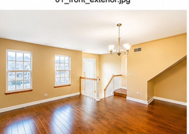 575 Treble Lane 575, Volo, IL 60073
