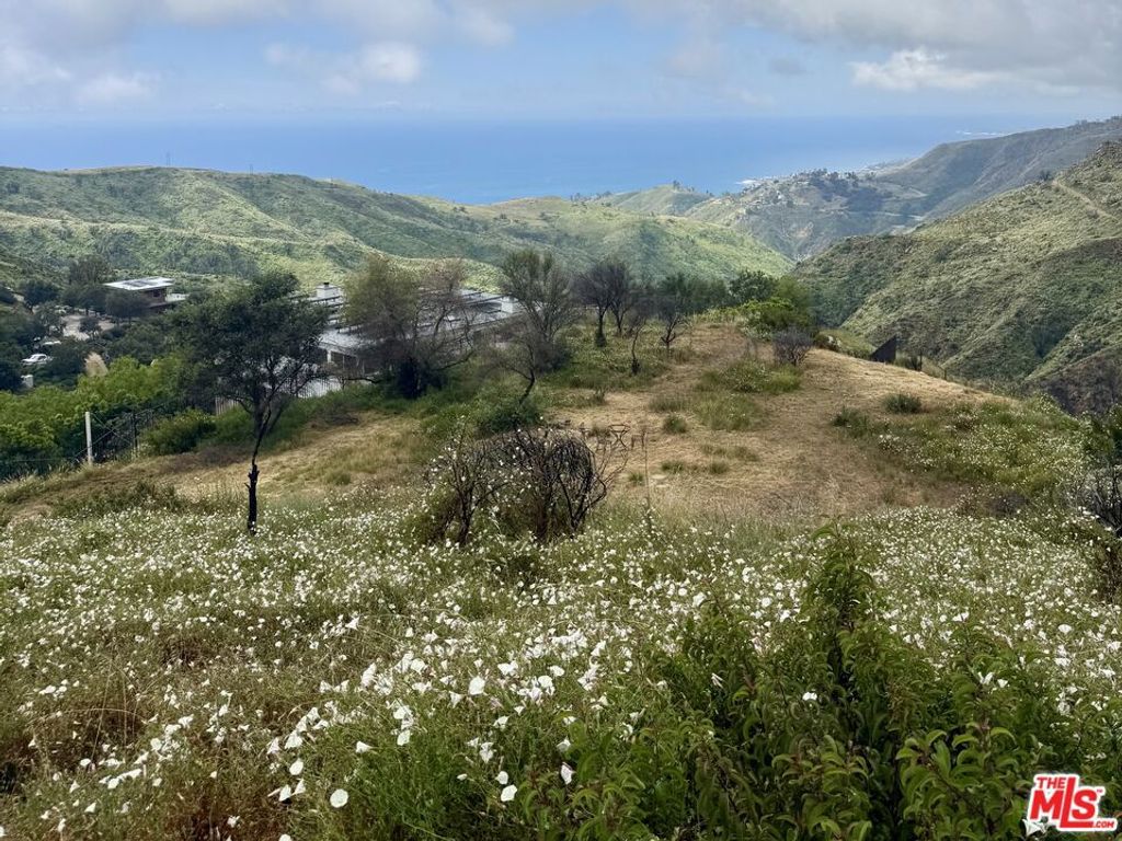 Image 4 of property listing at 62 Tuna Canyon Road, Topanga, CA 90290