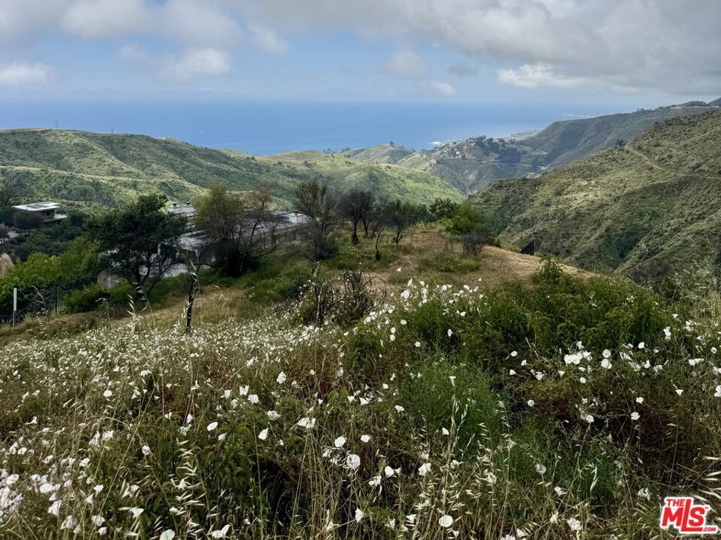 Image 7 of property listing at 62 Tuna Canyon Road, Topanga, CA 90290