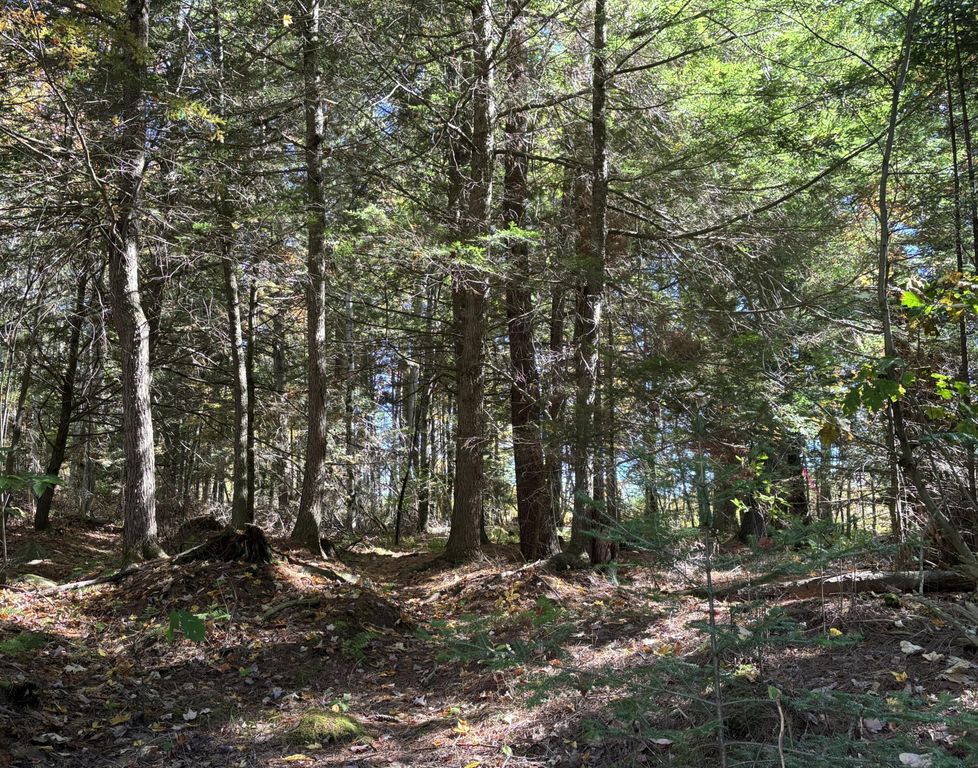 Lot 2 E Running Brook Rd Road, Lisbon, ME 04250 — photo 5