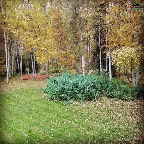 451 TERRACE DRIVE, Fairbanks, AK 99712