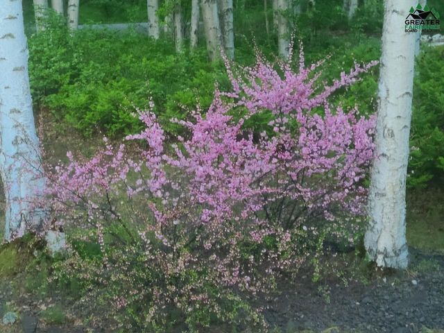 451 TERRACE DRIVE, Fairbanks, AK 99712