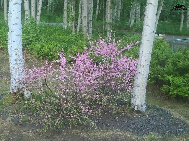 451 TERRACE DRIVE, Fairbanks, AK 99712