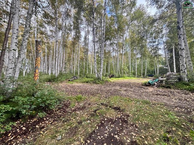 451 TERRACE DRIVE, Fairbanks, AK 99712