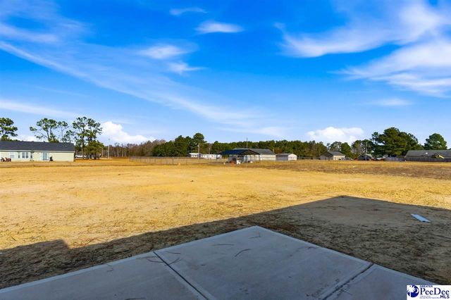 282 Lexyryan Ct, Latta, SC 29565