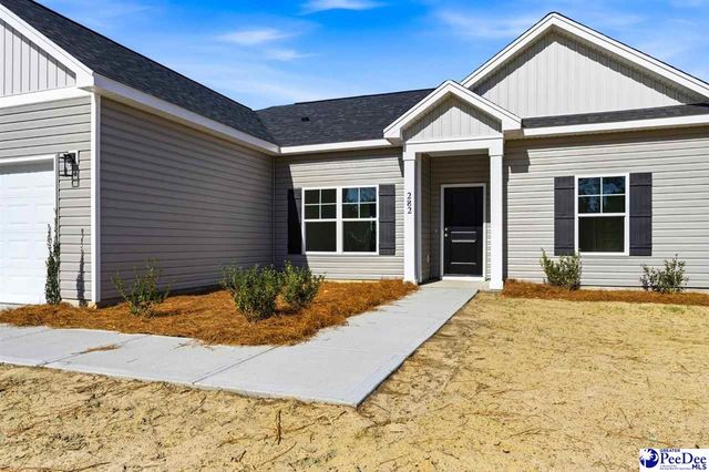 282 Lexyryan Ct, Latta, SC 29565