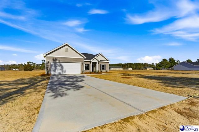 282 Lexyryan Ct, Latta, SC 29565
