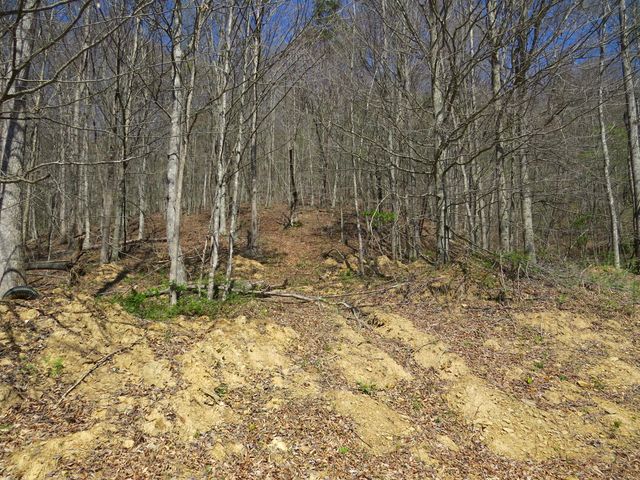 3590 KY 233, Gray, KY 40734