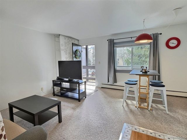 214 S Harris St 209, Breckenridge, CO 80424