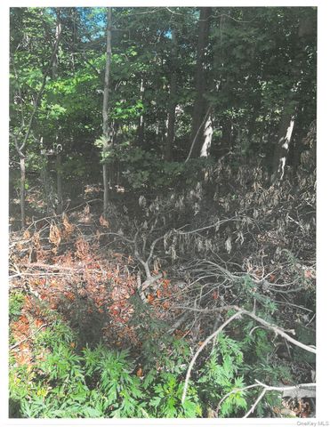 Lots 49, Cortlandt Manor, NY 10567