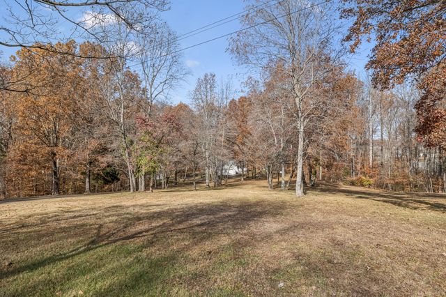 7399 Forrest Glenn Rd, Fairview, TN 37062