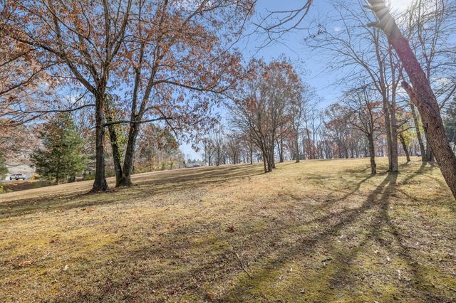 7399 Forrest Glenn Rd, Fairview, TN 37062