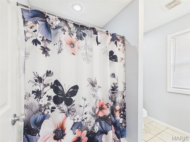 15781 Terris Lane, St Robert, MO 65584