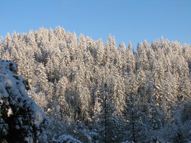 15891 Shake Ridge Rd, Sutter Creek, CA 95685