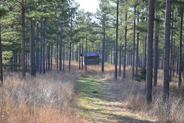 780 Adkins RD, Penhook, VA 24137