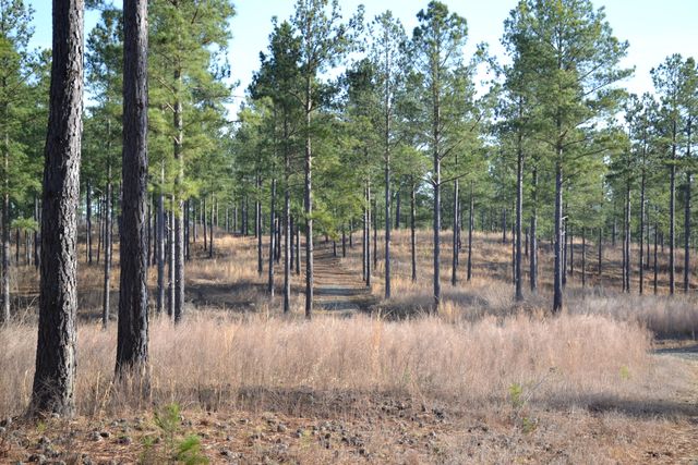 780 Adkins RD, Penhook, VA 24137