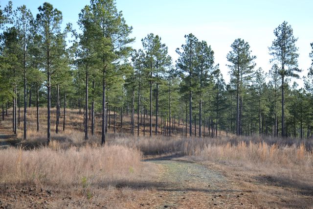 780 Adkins RD, Penhook, VA 24137