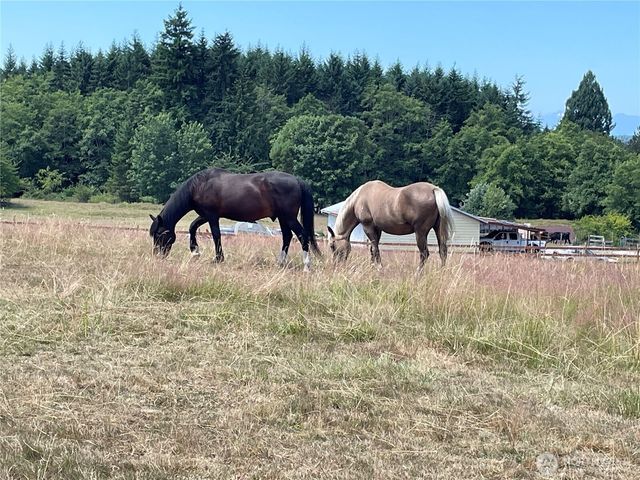6007 SW 240th Street, Vashon, WA 98070