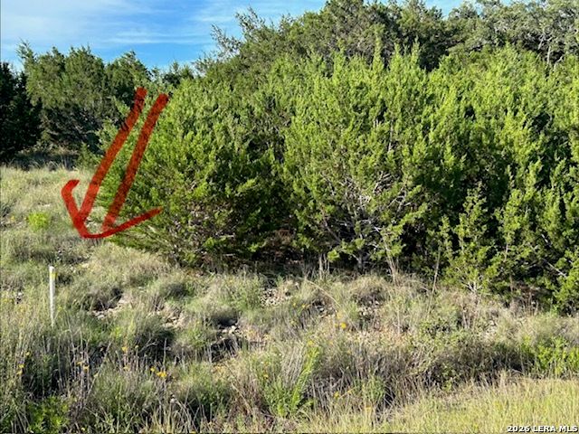 262 Bobby Clark, Canyon Lake, TX 78133