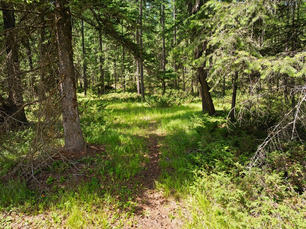 555 & 561 Twin Bridges Road, Whitefish, MT 59937 photo 129