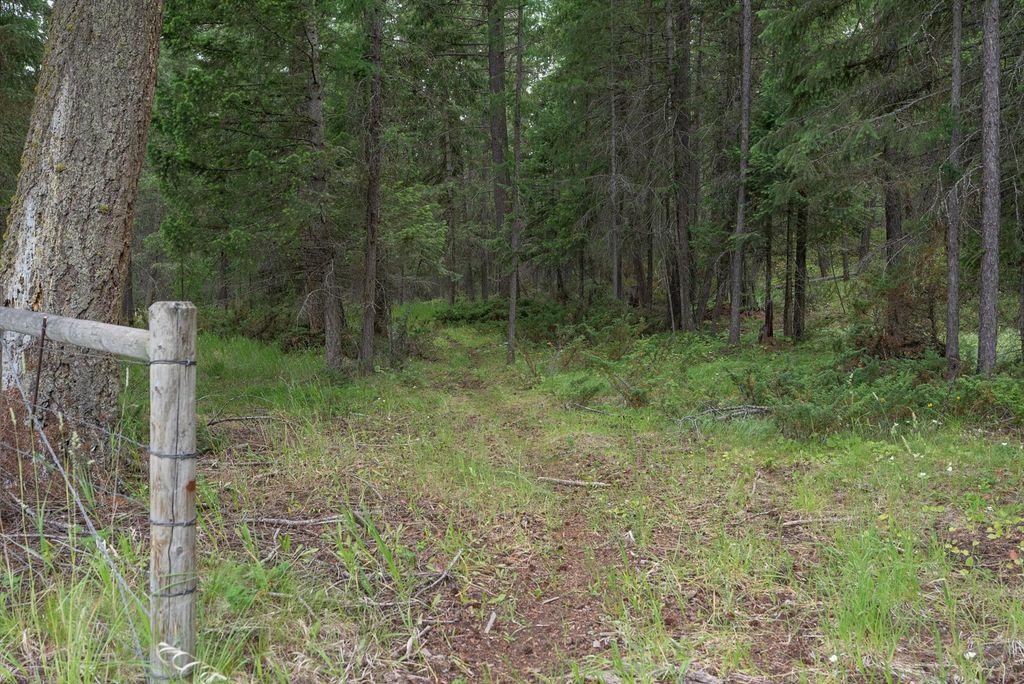 555 & 561 Twin Bridges Road, Whitefish, MT 59937 photo 21