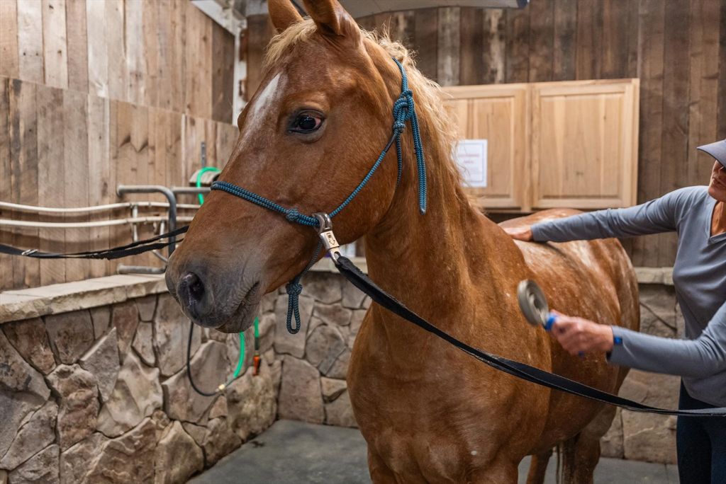 555 & 561 Twin Bridges Road, Whitefish, MT 59937 photo 91