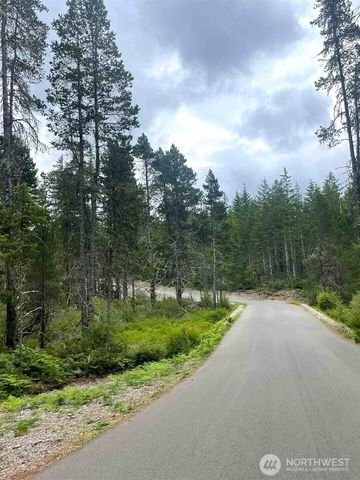 701 W Clear Lake Drive, Shelton, WA 98584