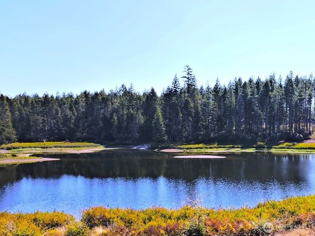 701 W Clear Lake Drive, Shelton, WA 98584