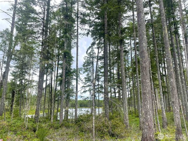 701 W Clear Lake Drive, Shelton, WA 98584