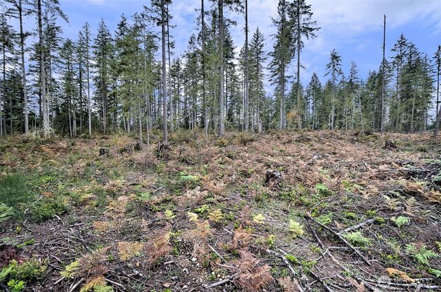 701 W Clear Lake Drive, Shelton, WA 98584