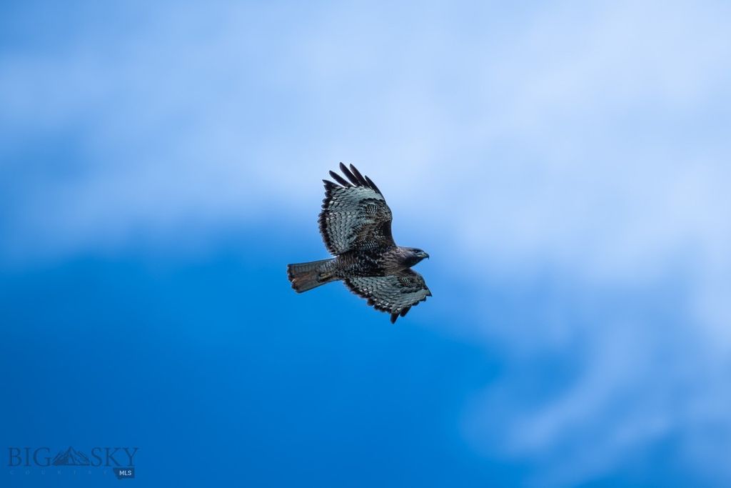 5200 Elk Lake Road, Lima, MT 59739 photo 49