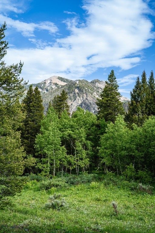 5200 Elk Lake Road, Lima, MT 59739 photo 52