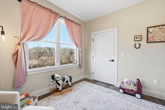 11183 DROGHEDA MOUNTAIN RD, Rixeyville, VA 22737