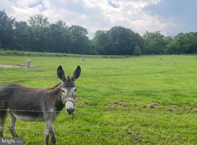 11183 DROGHEDA MOUNTAIN RD, Rixeyville, VA 22737