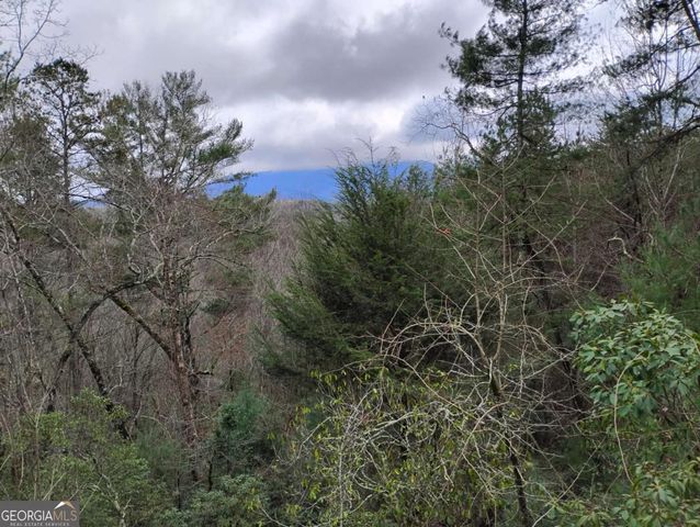 LT 166 Shenendoa Drive 166, Ellijay, GA 30540
